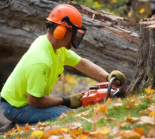 tree services Dardenne Prairie